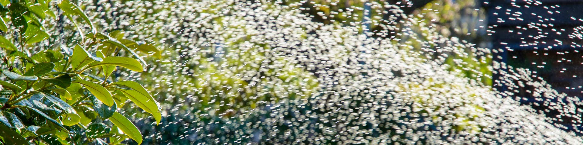 Beregening Totaaltuin Impressie 1 Beregening Totaaltuin Impressie 1