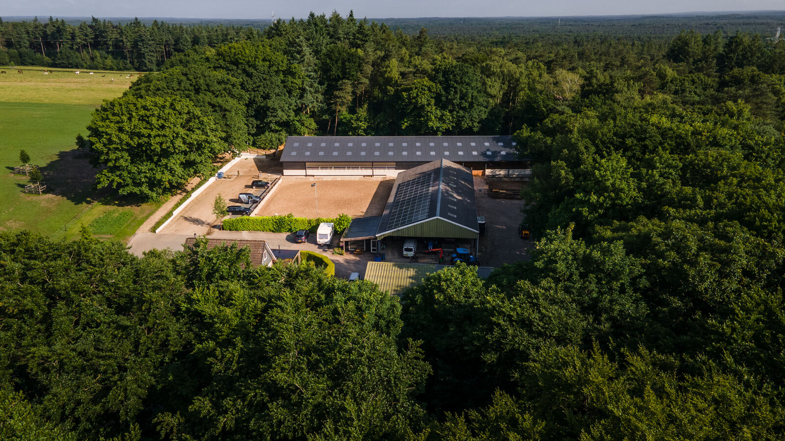 Totaaltuin Arnhem Over Ons Impressie Totaaltuin Arnhem Over Ons Impressie